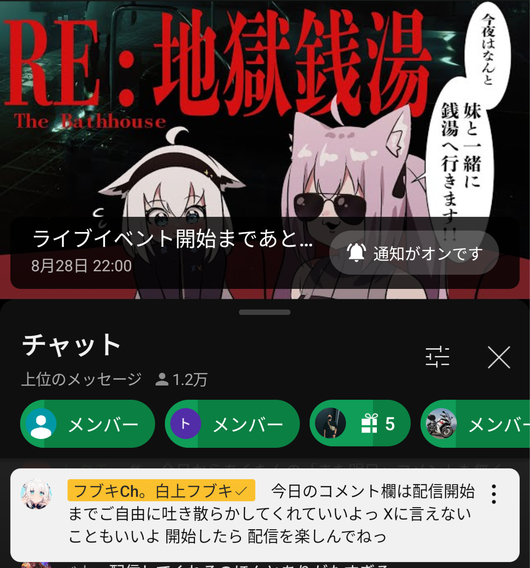 VTuberまとめ速報(画像08/28230808546899_1)