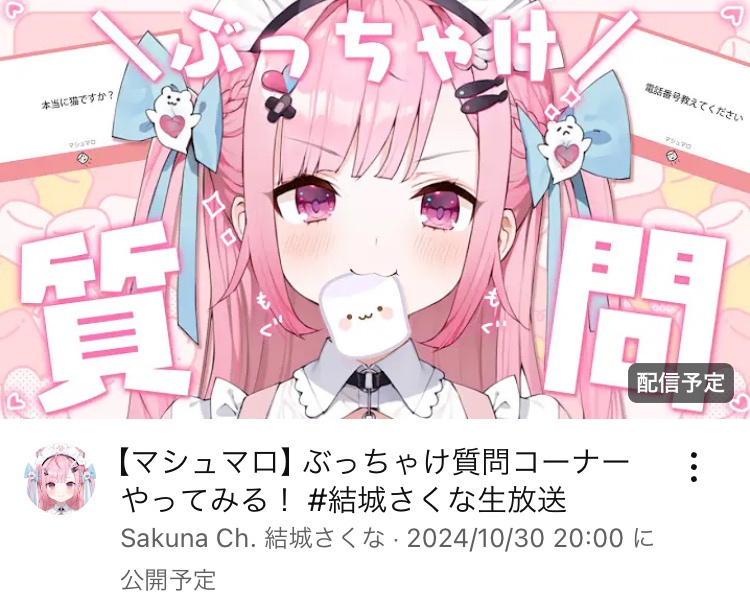 VTuberまとめ速報 V速(画像10/31073603872133_2)