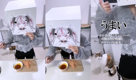 VTuberまとめ速報 V速(画像27132323689825_5)