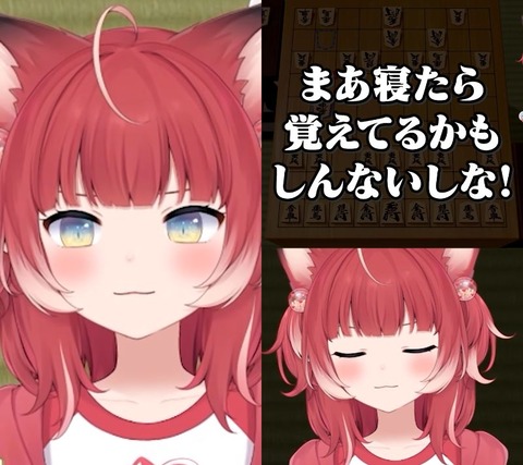 VTuberまとめ速報 V速(画像01012412272879_4)